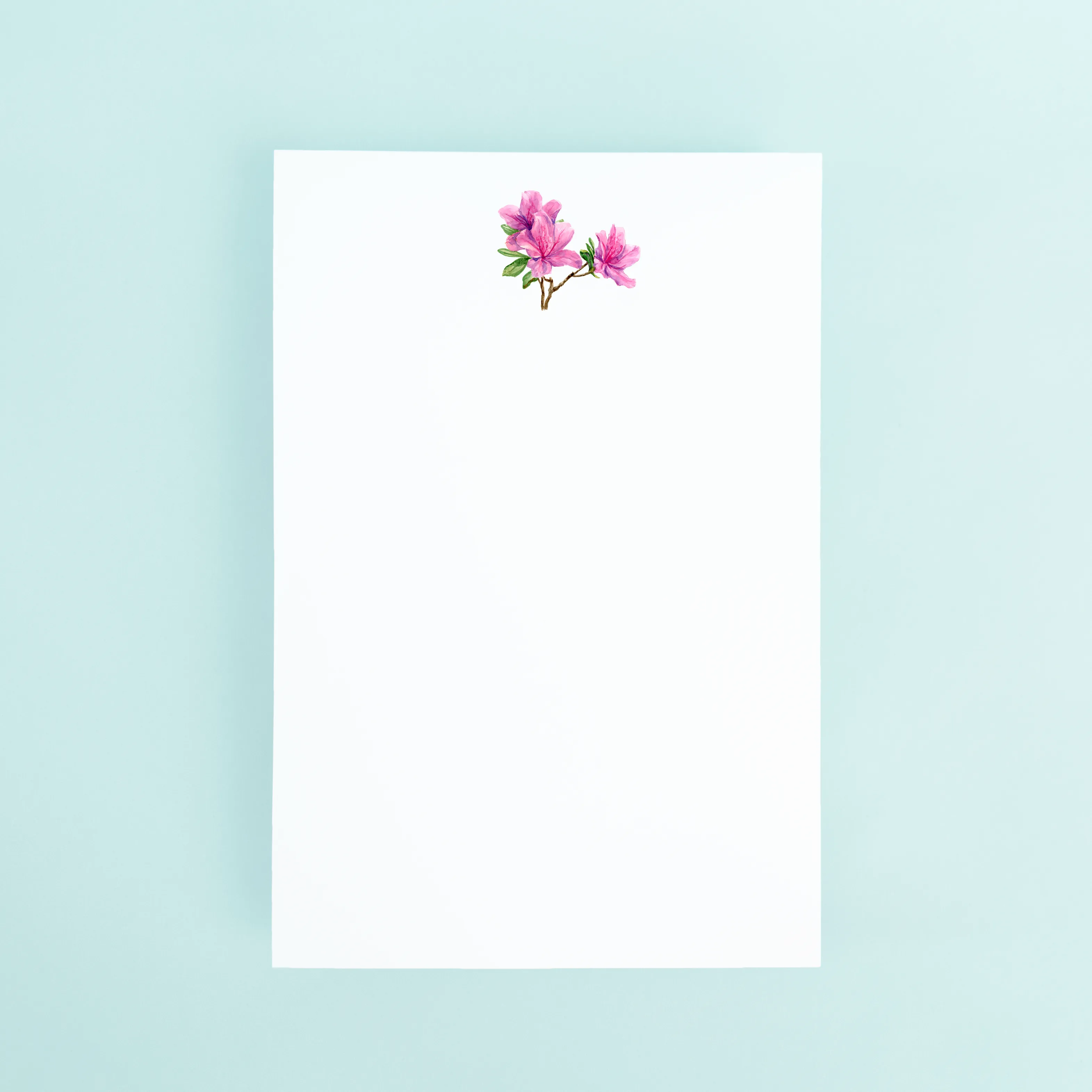 Azaleas