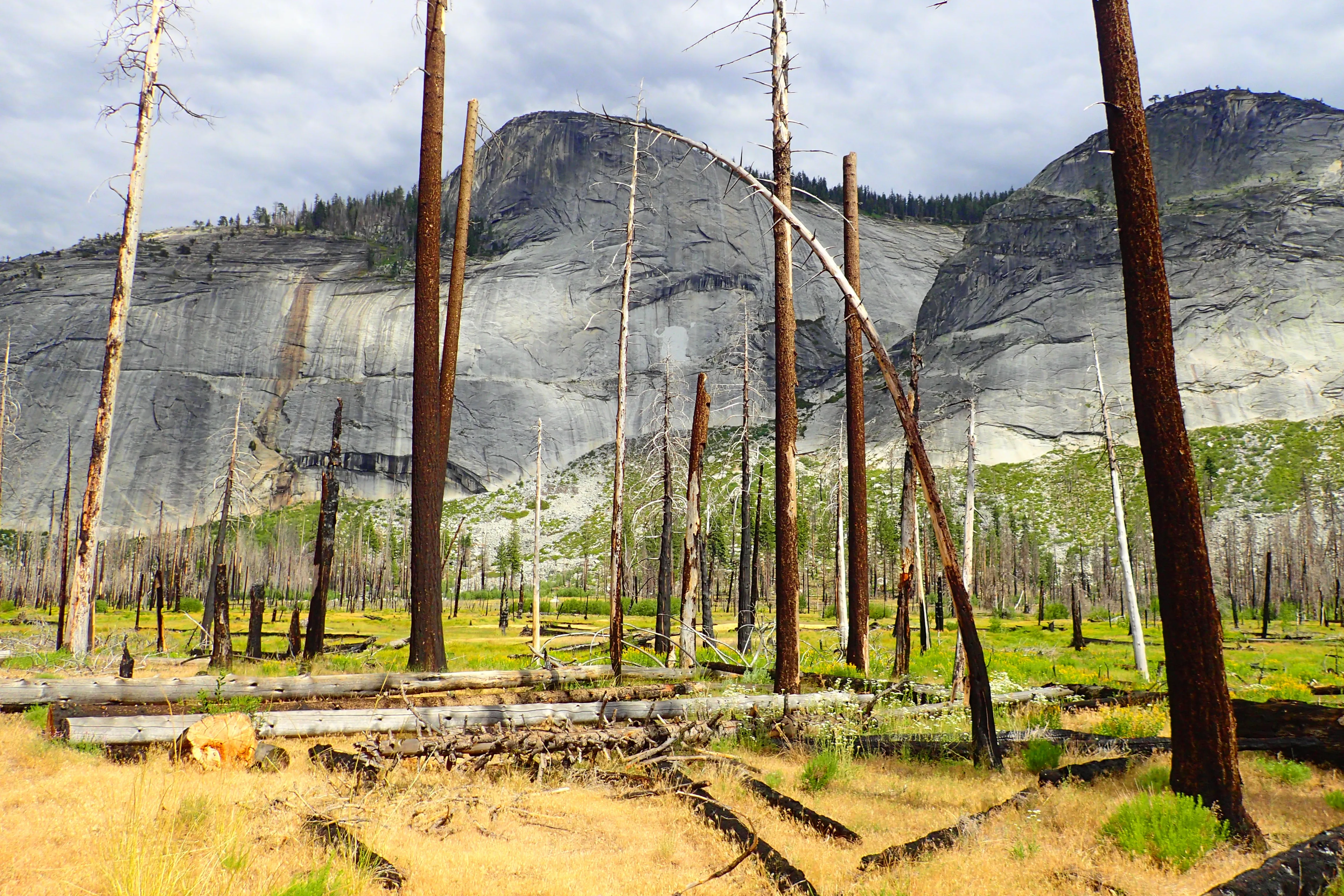 Backpacking Yosemite: Half Dome (3 Day)