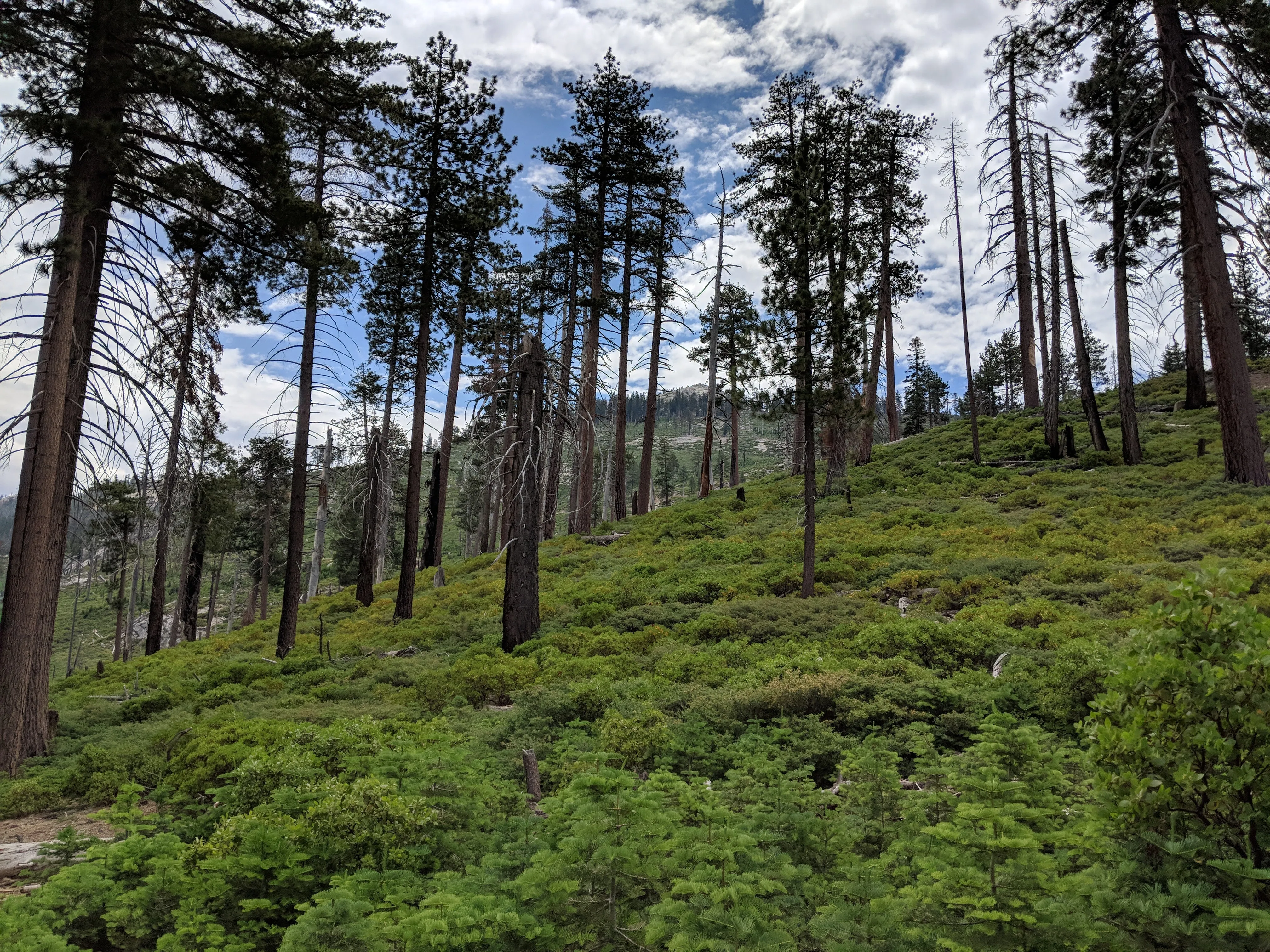 Backpacking Yosemite: Half Dome (3 Day)