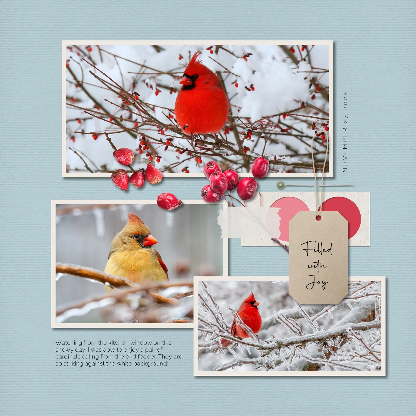 Color Story Page Builder Elements 2 Digital Scrapbook Kit