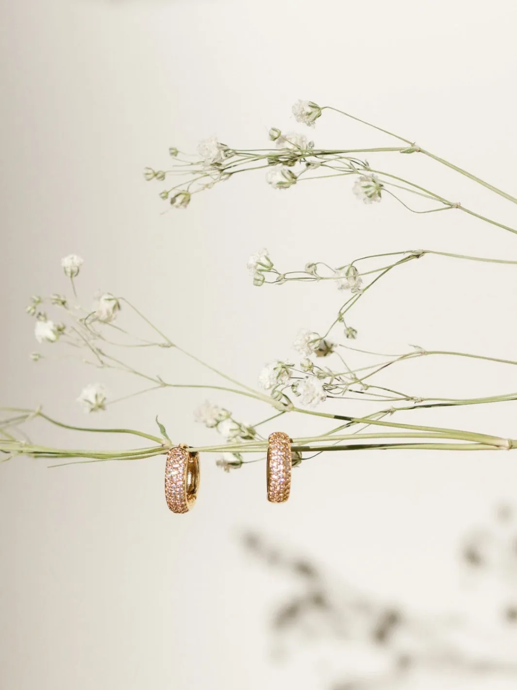 Crystal Hoop Earrings