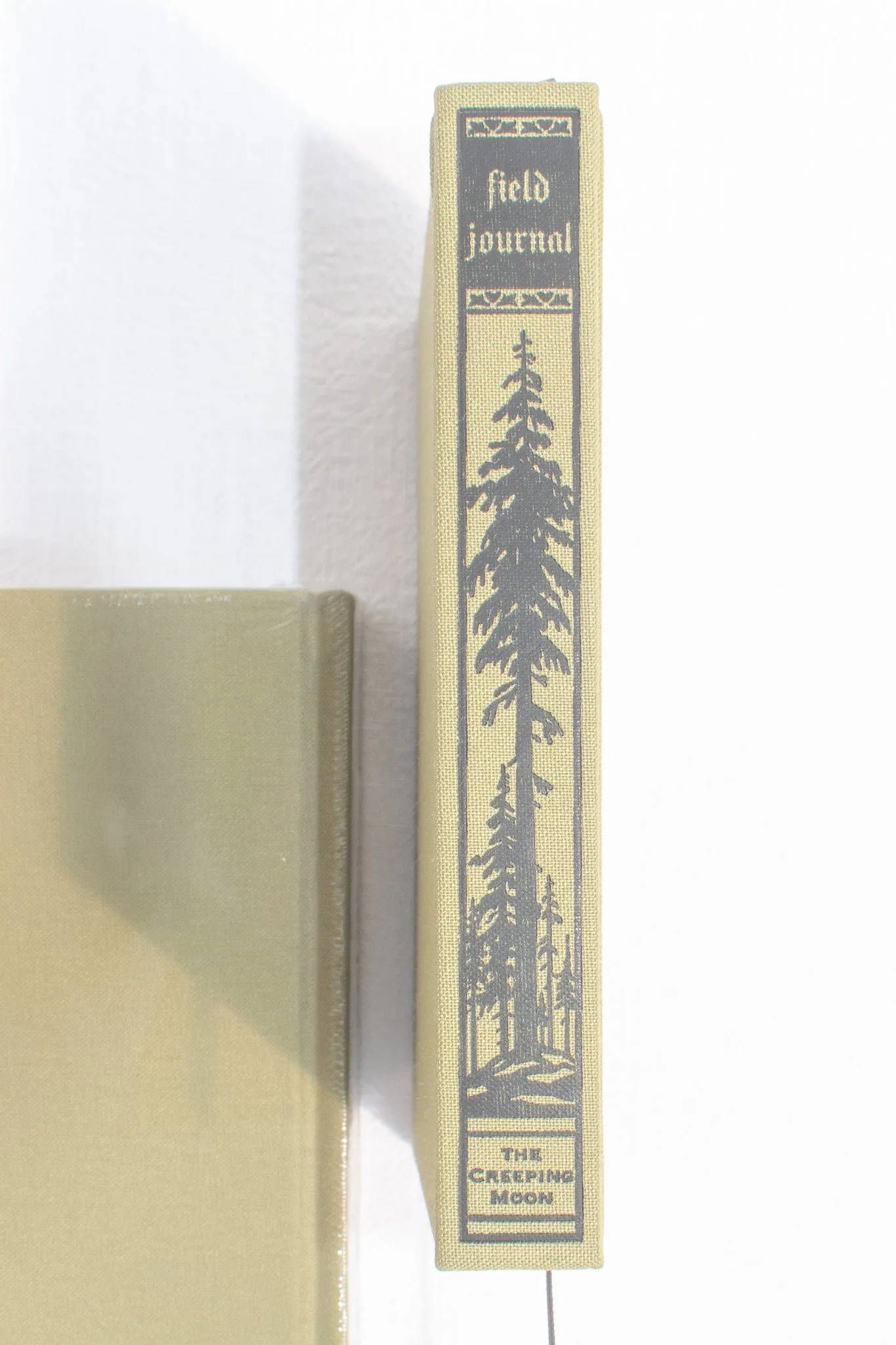 Forest Foraging Journal