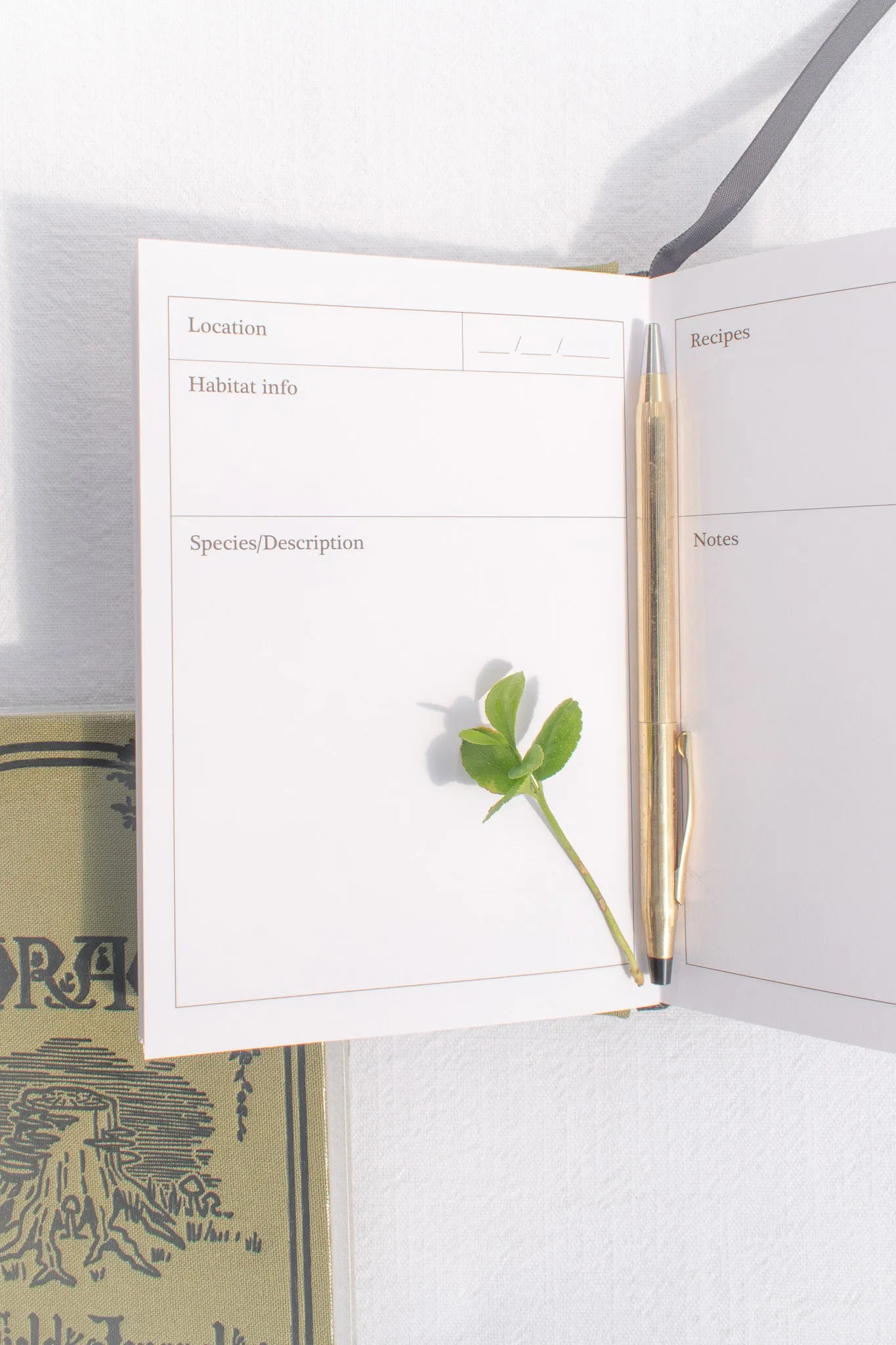 Forest Foraging Journal