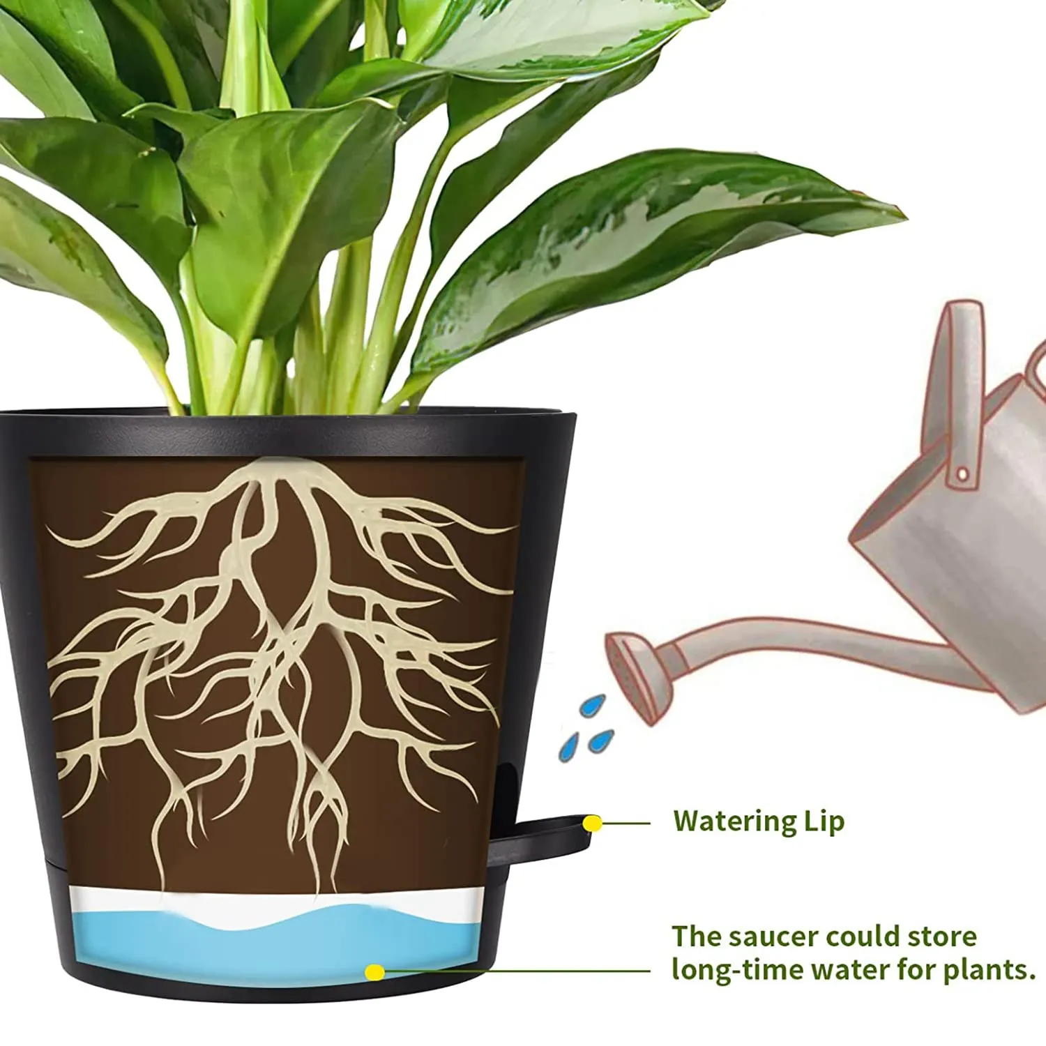 Heart Home Plastic Titan Pot|Garden Container for Plants & Flowers|Self-Watering Pot with Drainage Holes,6 Inch (White)