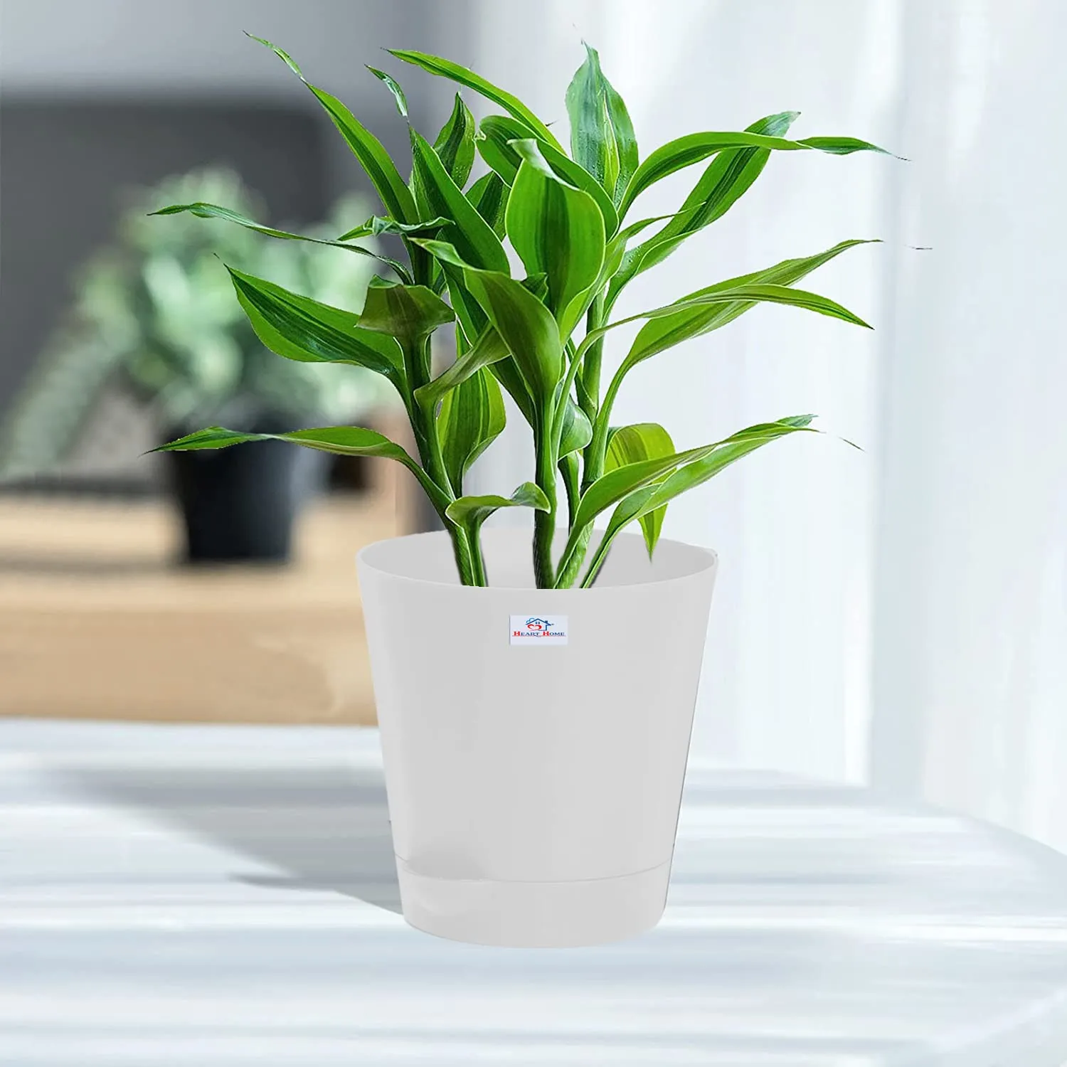 Heart Home Plastic Titan Pot|Garden Container for Plants & Flowers|Self-Watering Pot with Drainage Holes,6 Inch (White)
