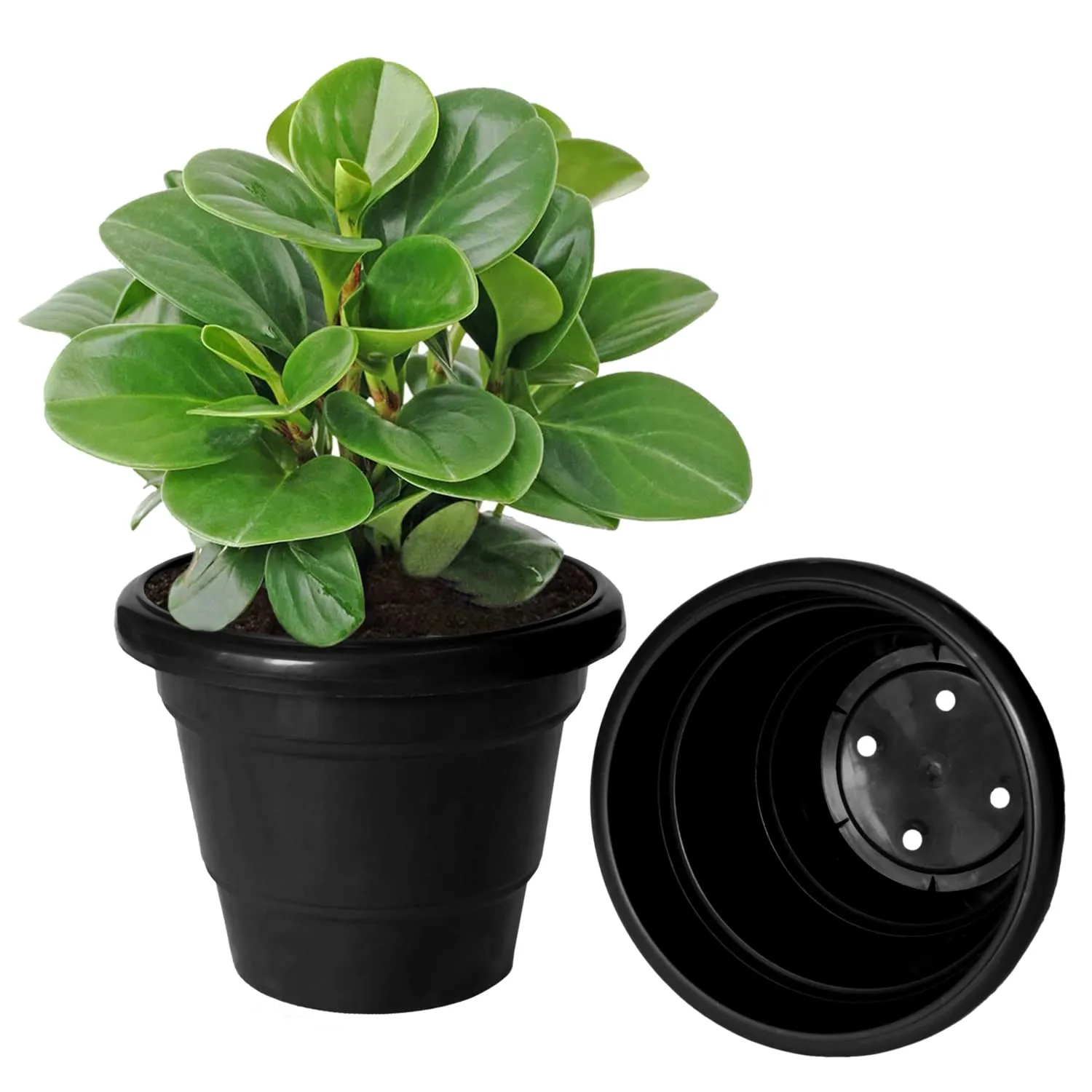 Heart Home Solid 2 Layered Plastic Flower Pot|Gamla for Home Decor,Nursery,Balcony,Garden,6"x5",Pack of 8 (Black)