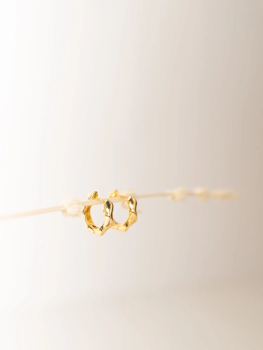 Irregular Shape Gold Hoop Earrings