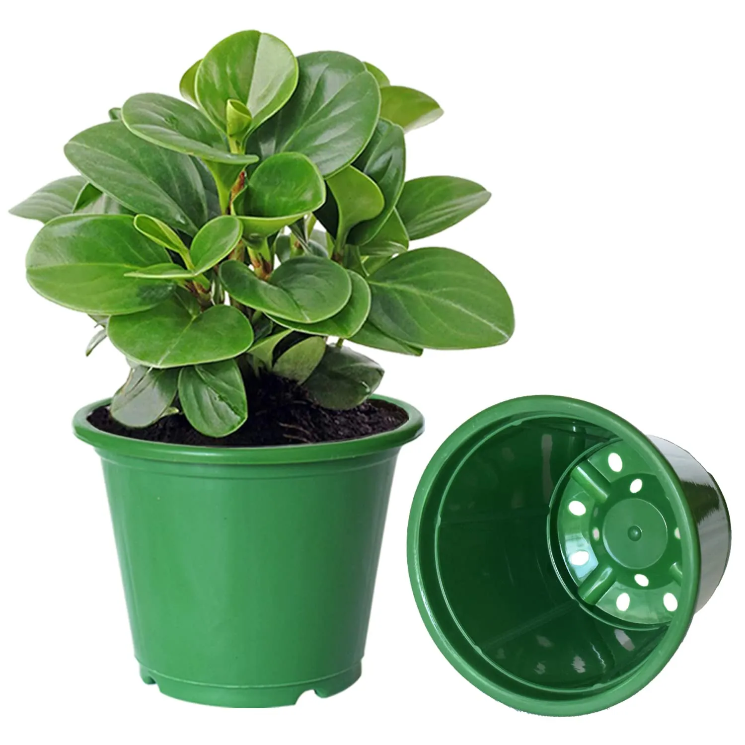 Kuber Industries Durable Plastic Flower Pot|Gamla with Drain Holes for Indoor Home Decor & Outdoor Balcony,Garden,6"x5",Pack of 5 (Green)