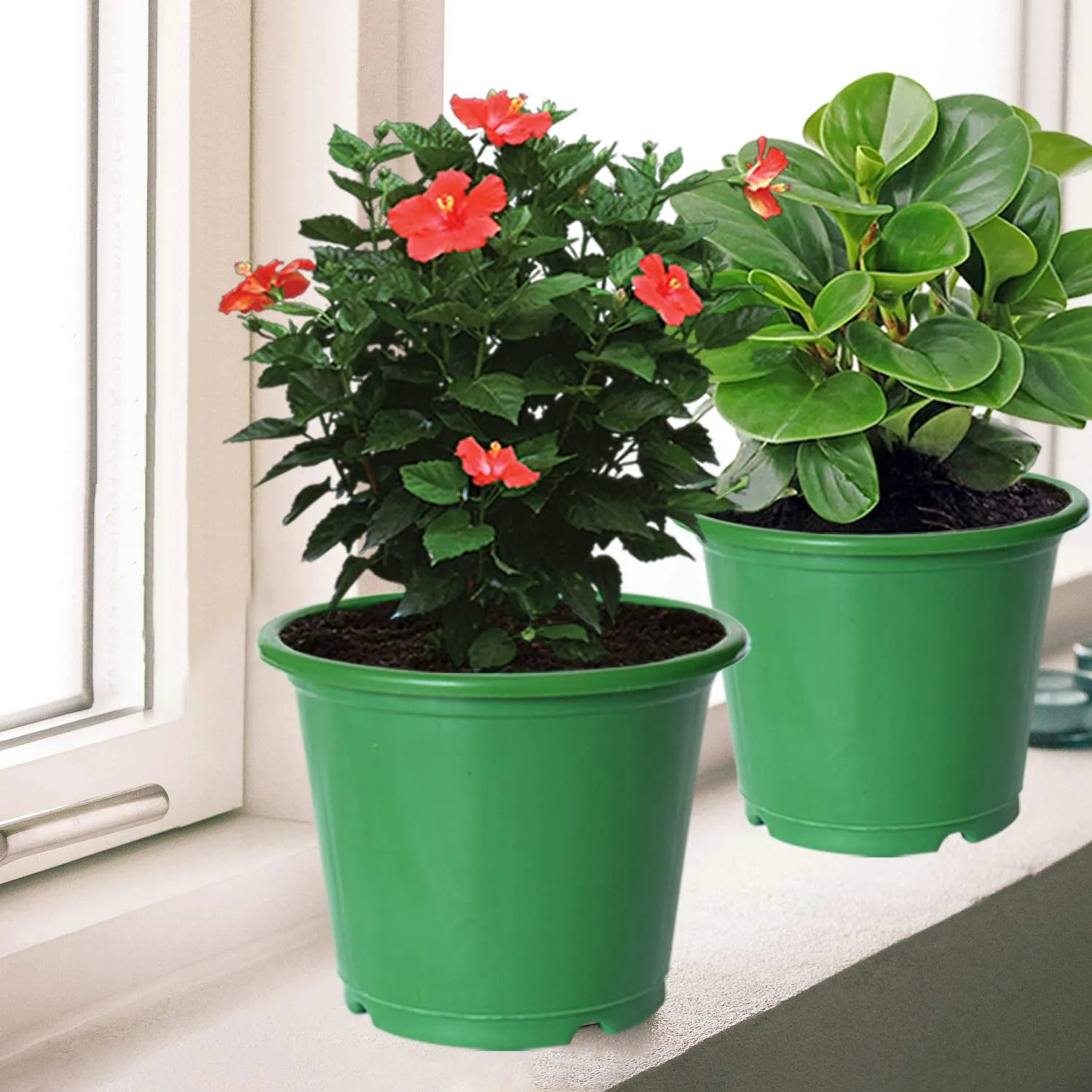 Kuber Industries Durable Plastic Flower Pot|Gamla with Drain Holes for Indoor Home Decor & Outdoor Balcony,Garden,6"x5",Pack of 5 (Green)