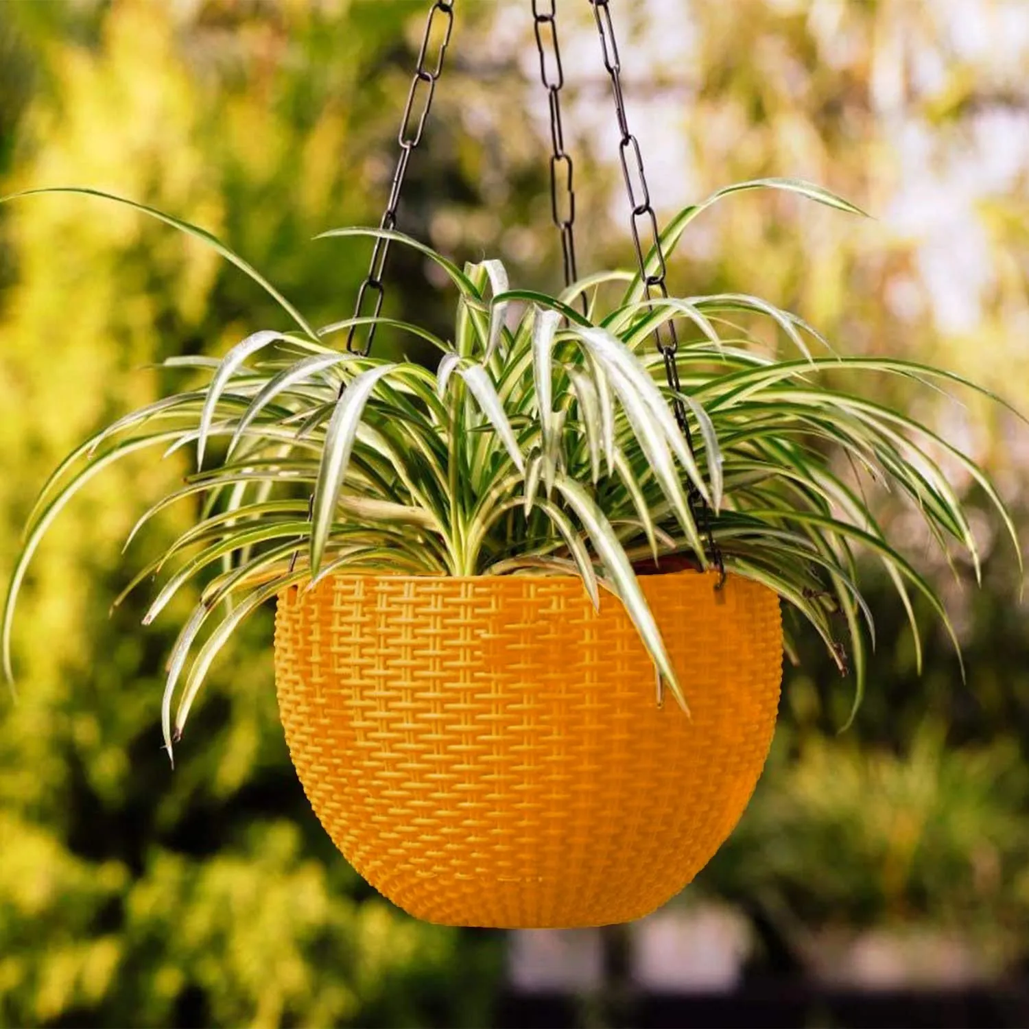 Kuber Industries Plastic Hanging Flower Pot for Balcony & Railing Set of 4 (Yellow) 53KM3846