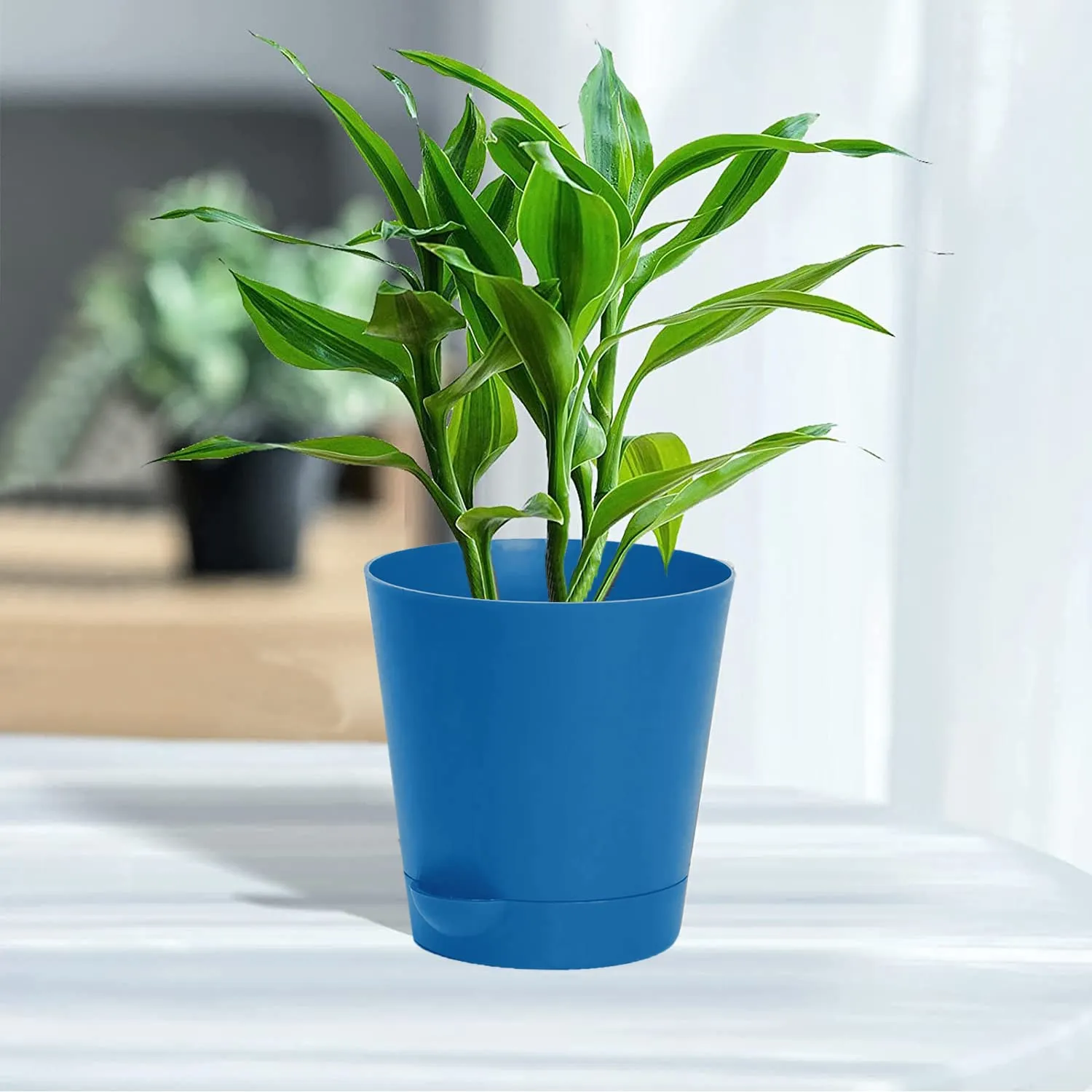 Kuber Industries Plastic Titan Pot|Garden Container for Plants & Flowers|Self-Watering Pot with Drainage Holes,6 Inch (Blue)