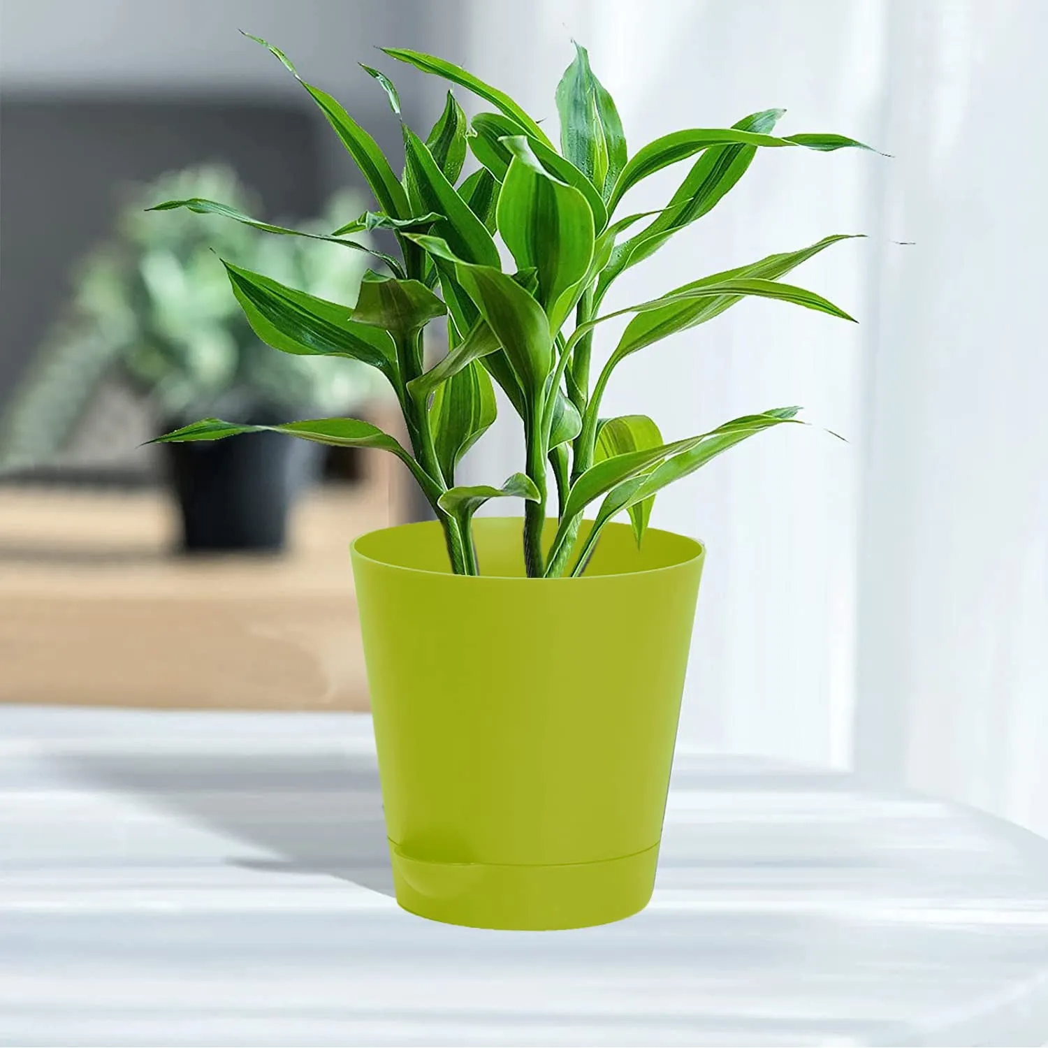 Kuber Industries Plastic Titan Pot|Garden Container for Plants & Flowers|Self-Watering Pot with Drainage Holes,6 Inch (Green)