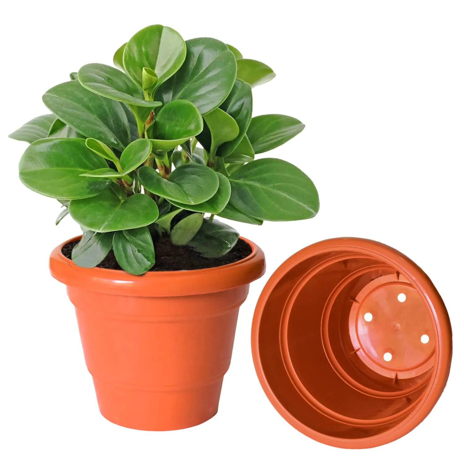 Kuber Industries Solid 2 Layered Plastic Flower Pot|Gamla for Home Decor,Nursery,Balcony,Garden,8"x 6",Pack of 4 (Orange)