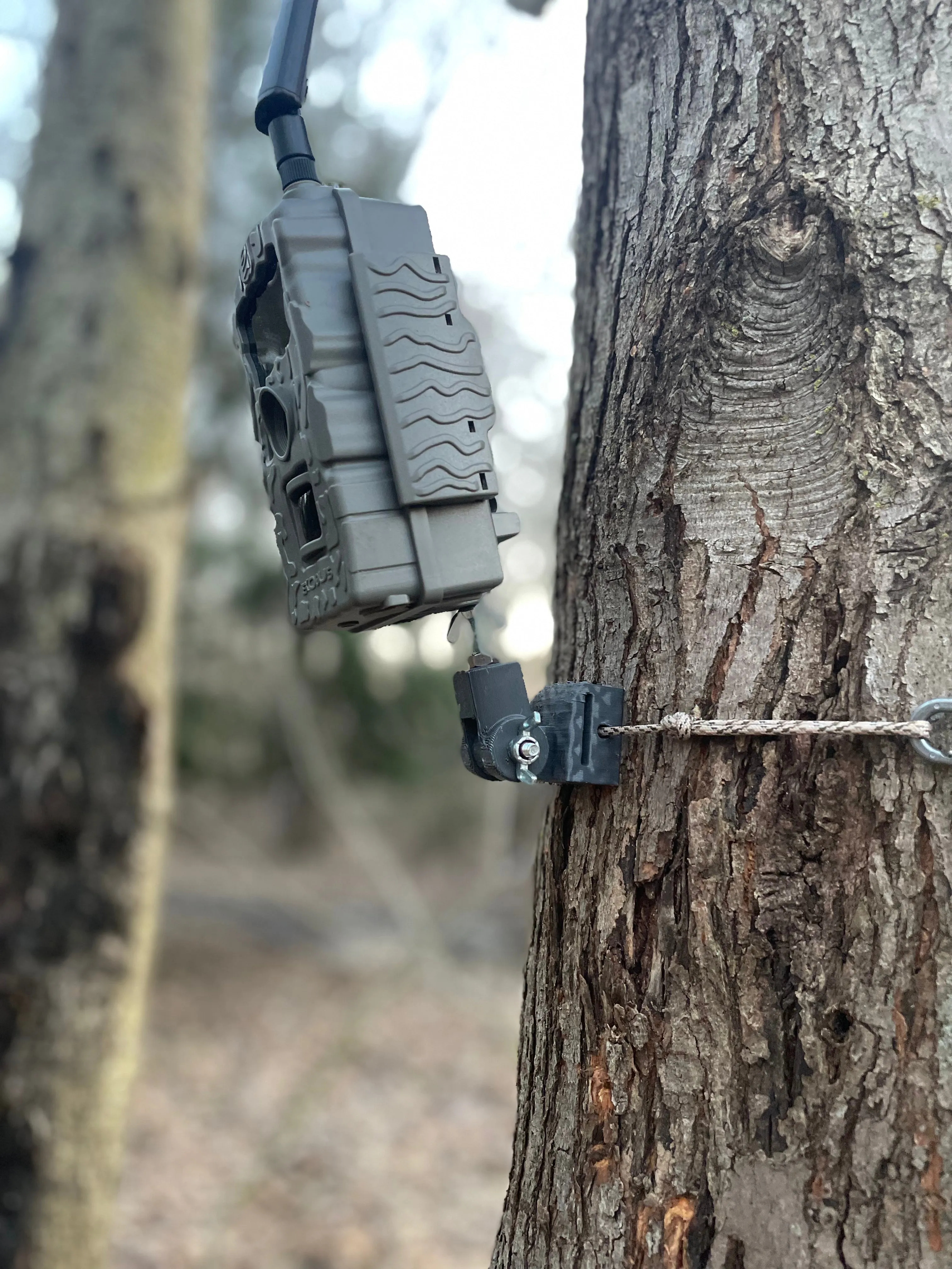 Lookout (Trail Camera Mount)