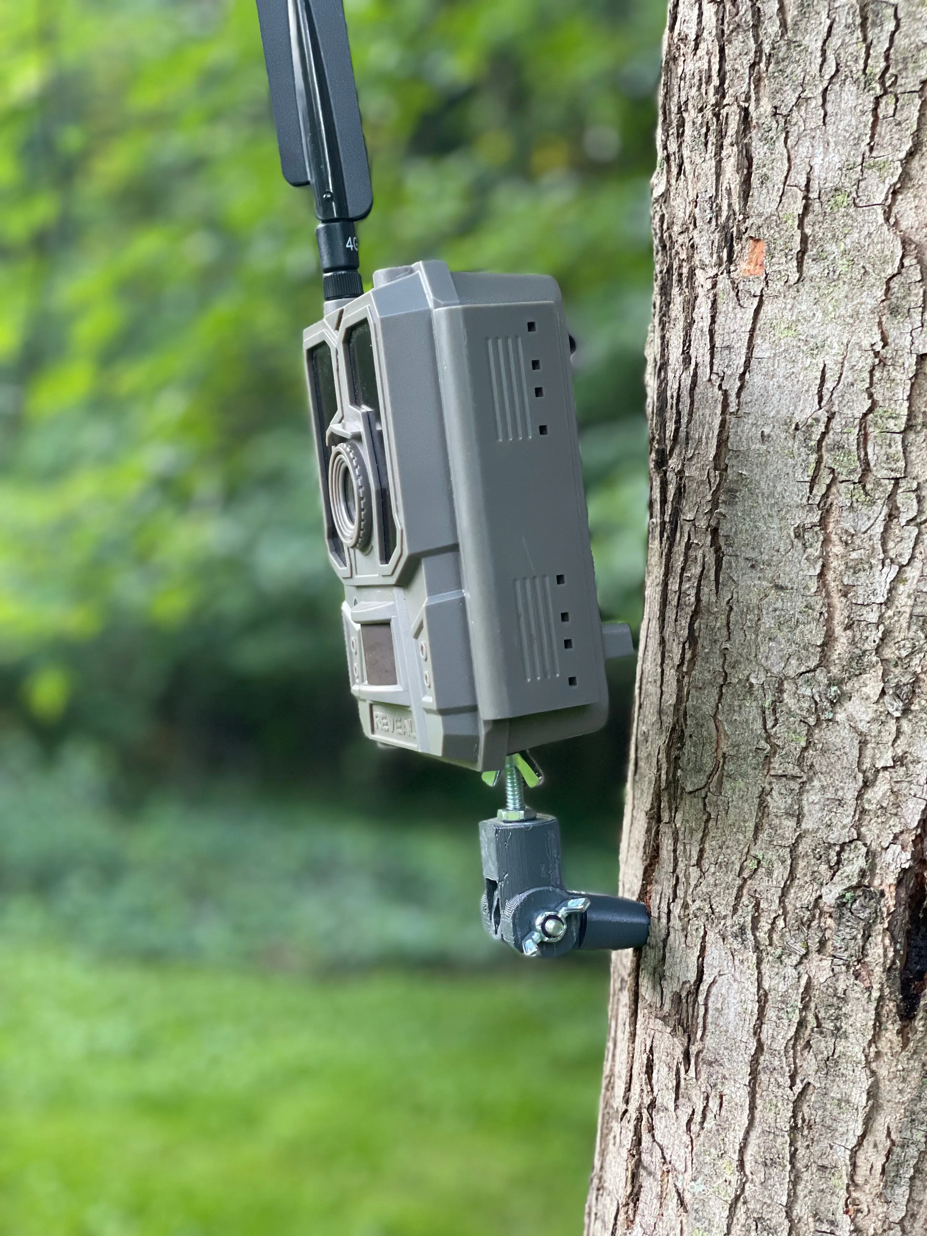 Lookout (Trail Camera Mount)