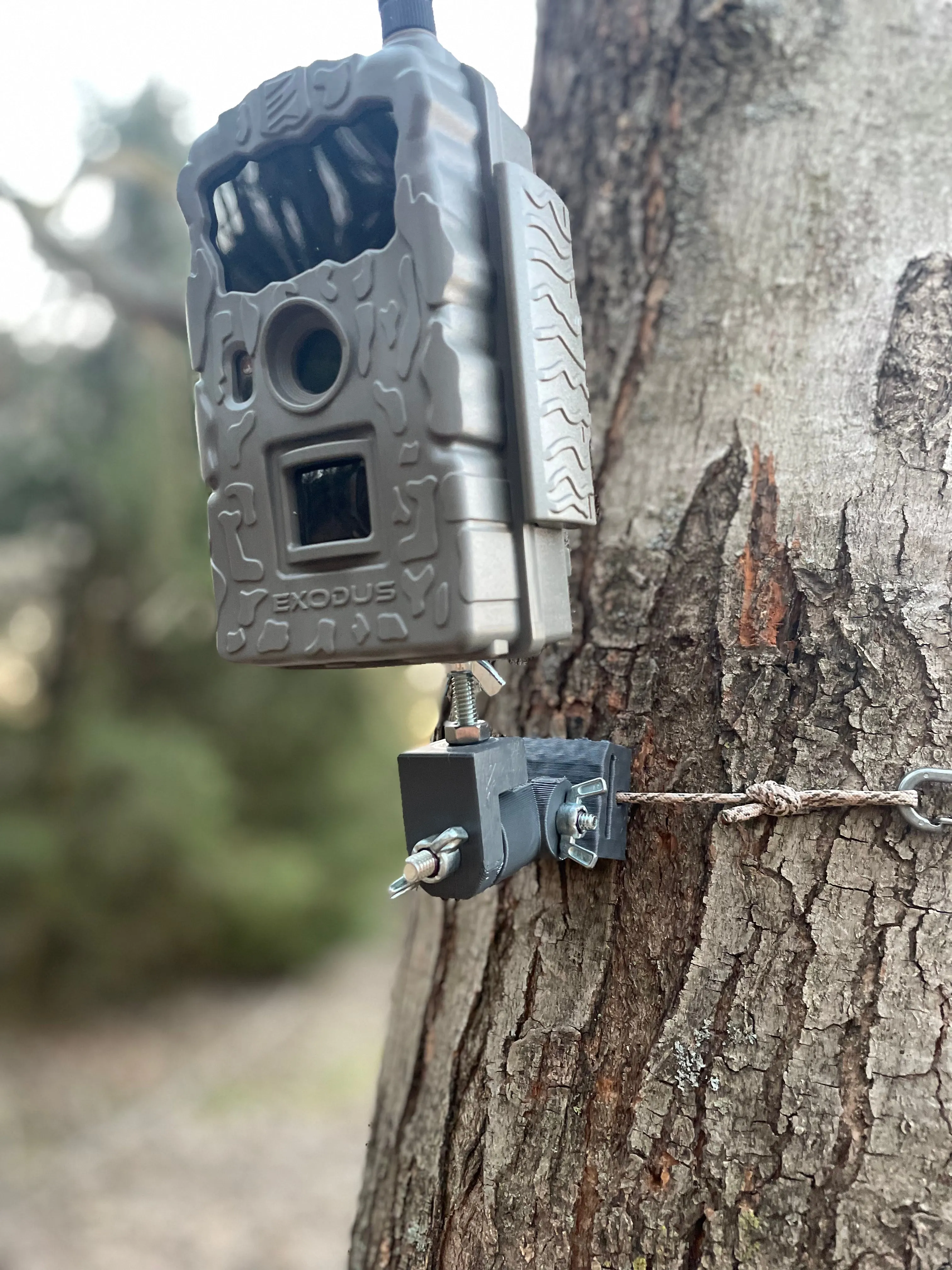 Lookout (Trail Camera Mount)