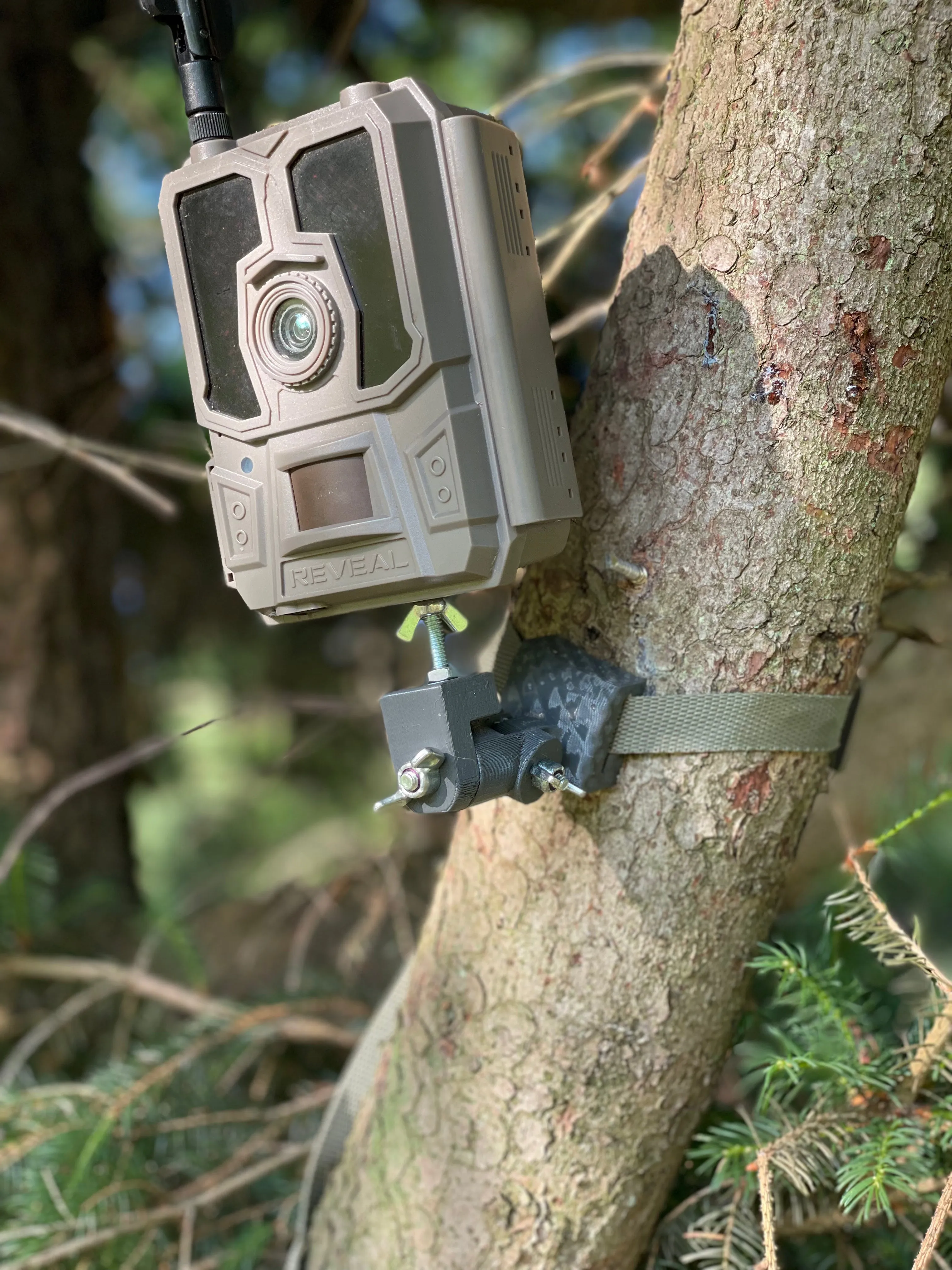 Lookout (Trail Camera Mount)