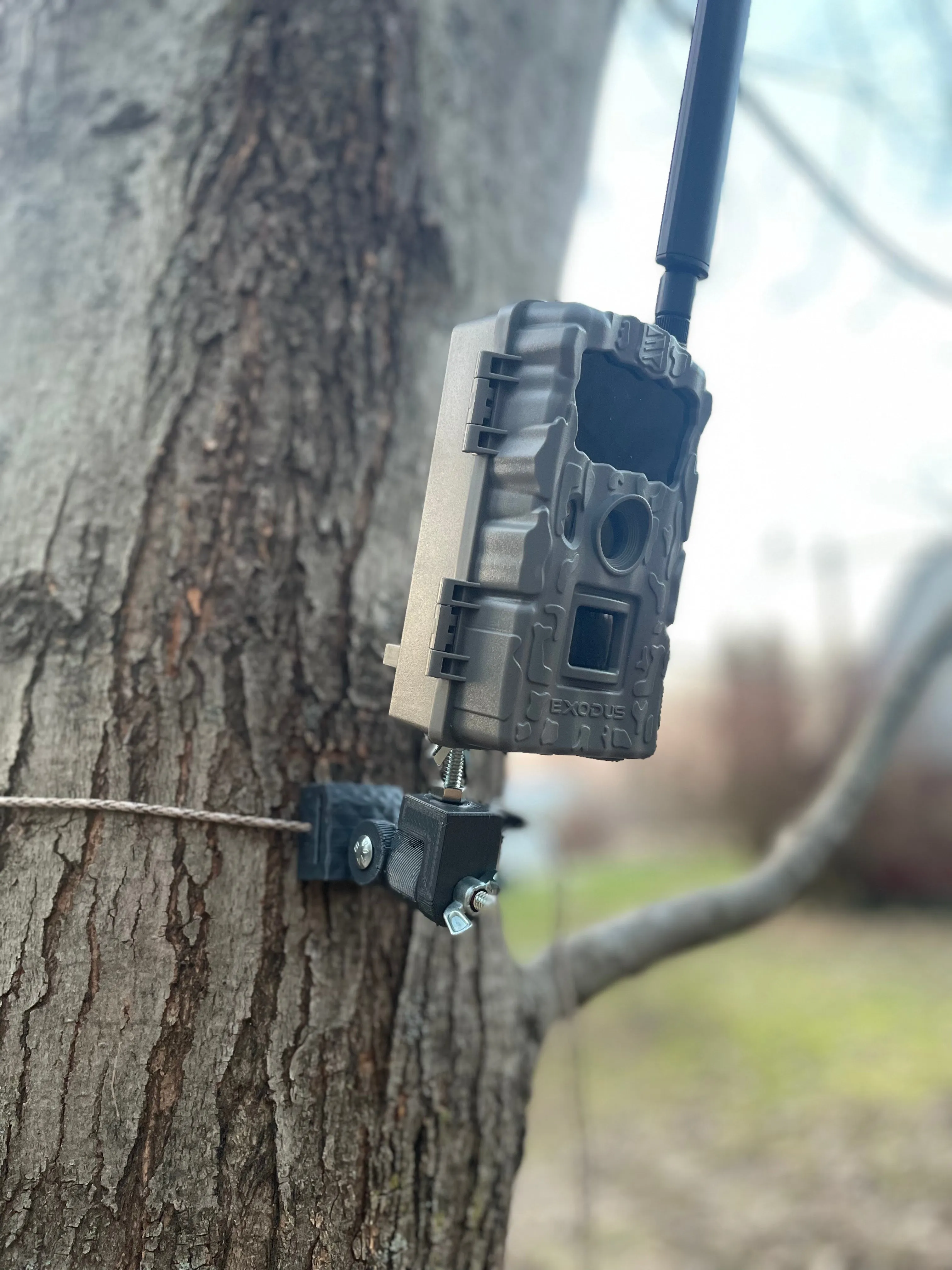 Lookout (Trail Camera Mount)