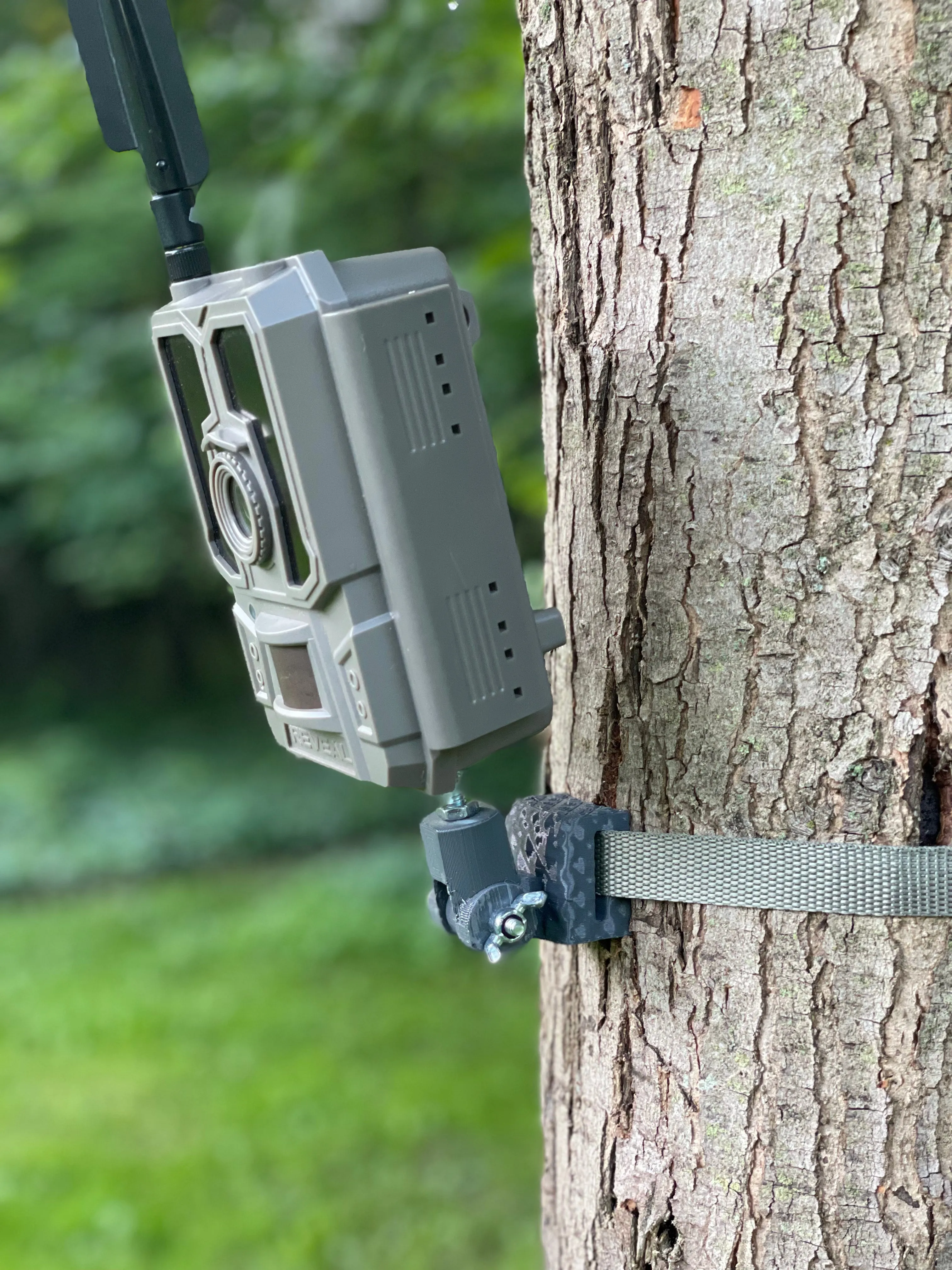 Lookout (Trail Camera Mount)
