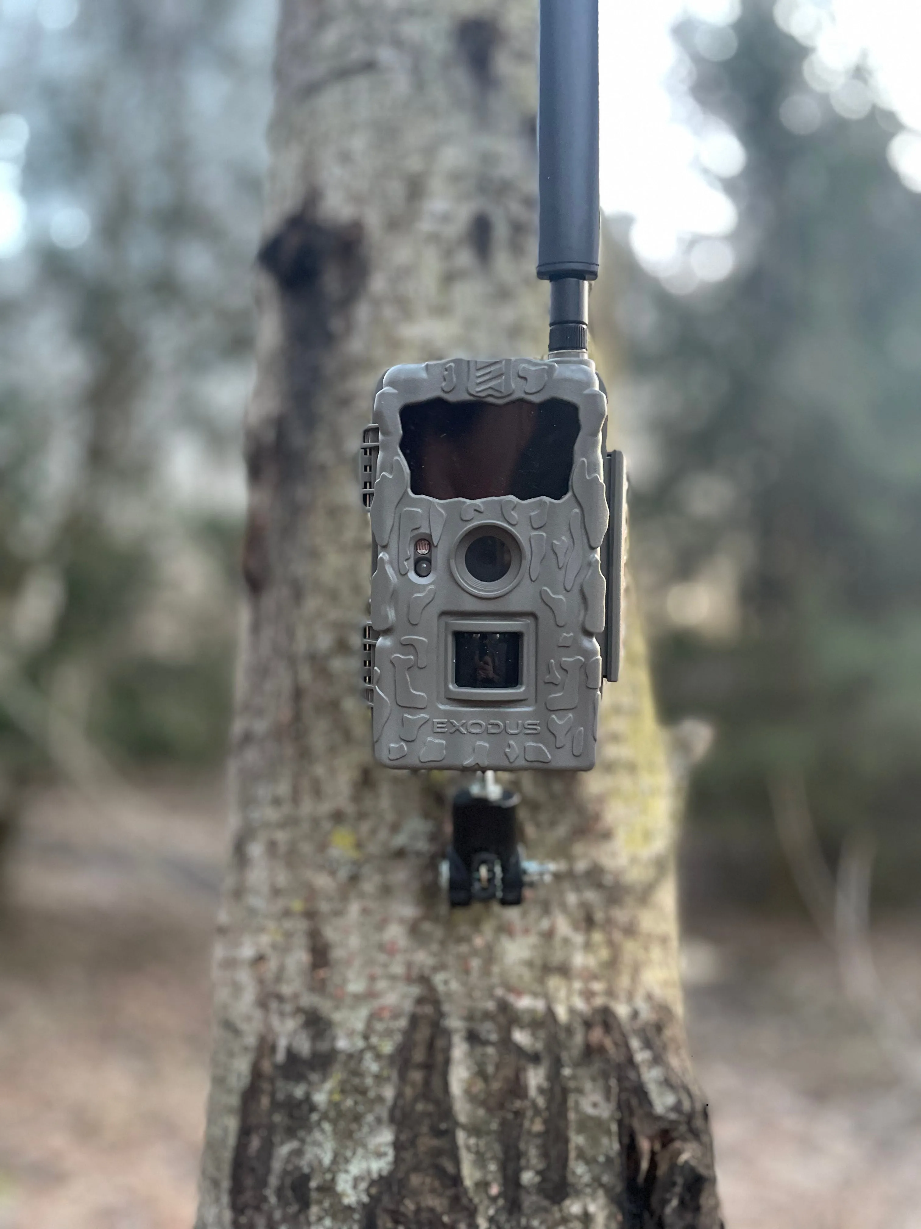 Lookout (Trail Camera Mount)
