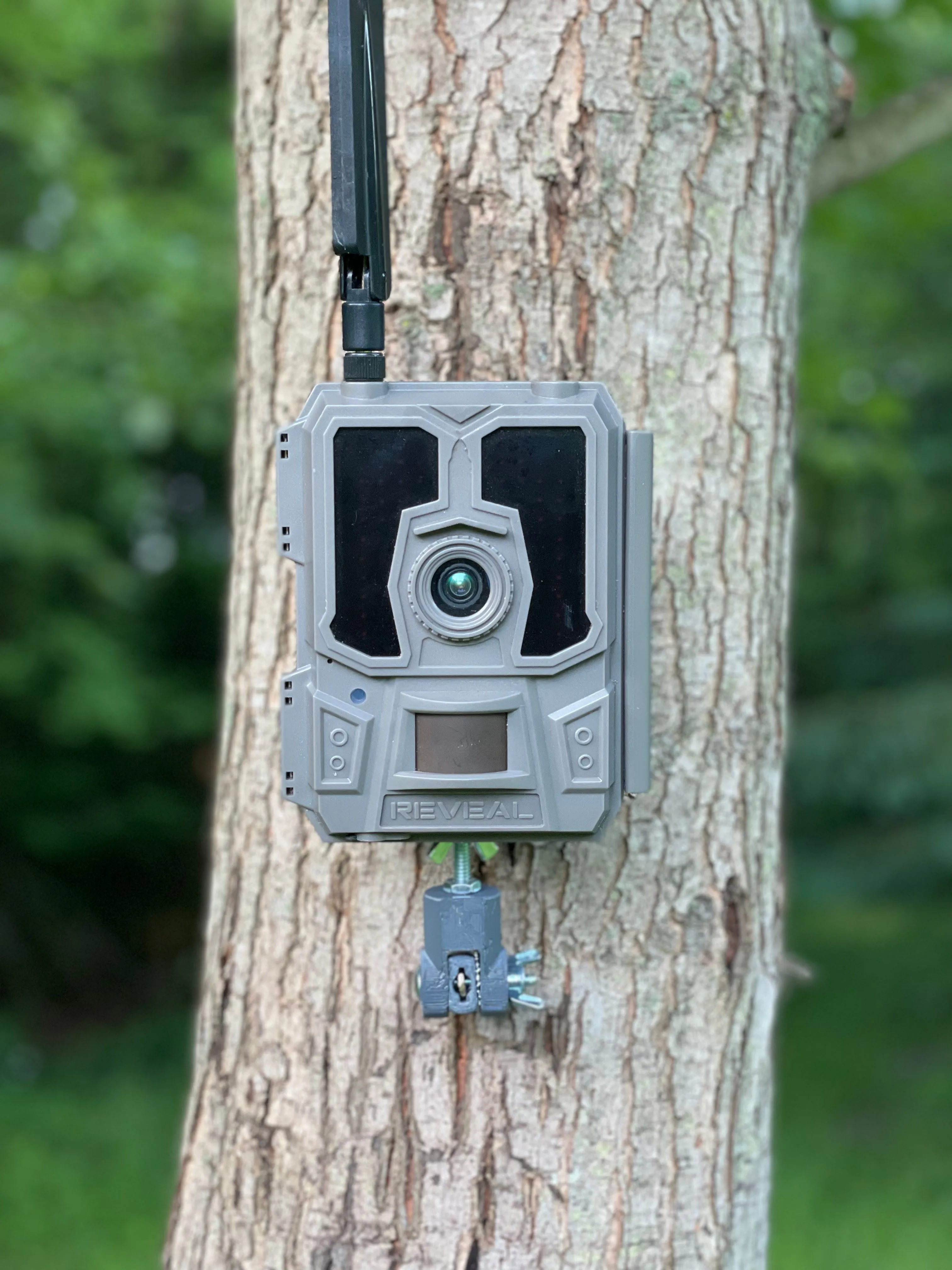 Lookout (Trail Camera Mount)