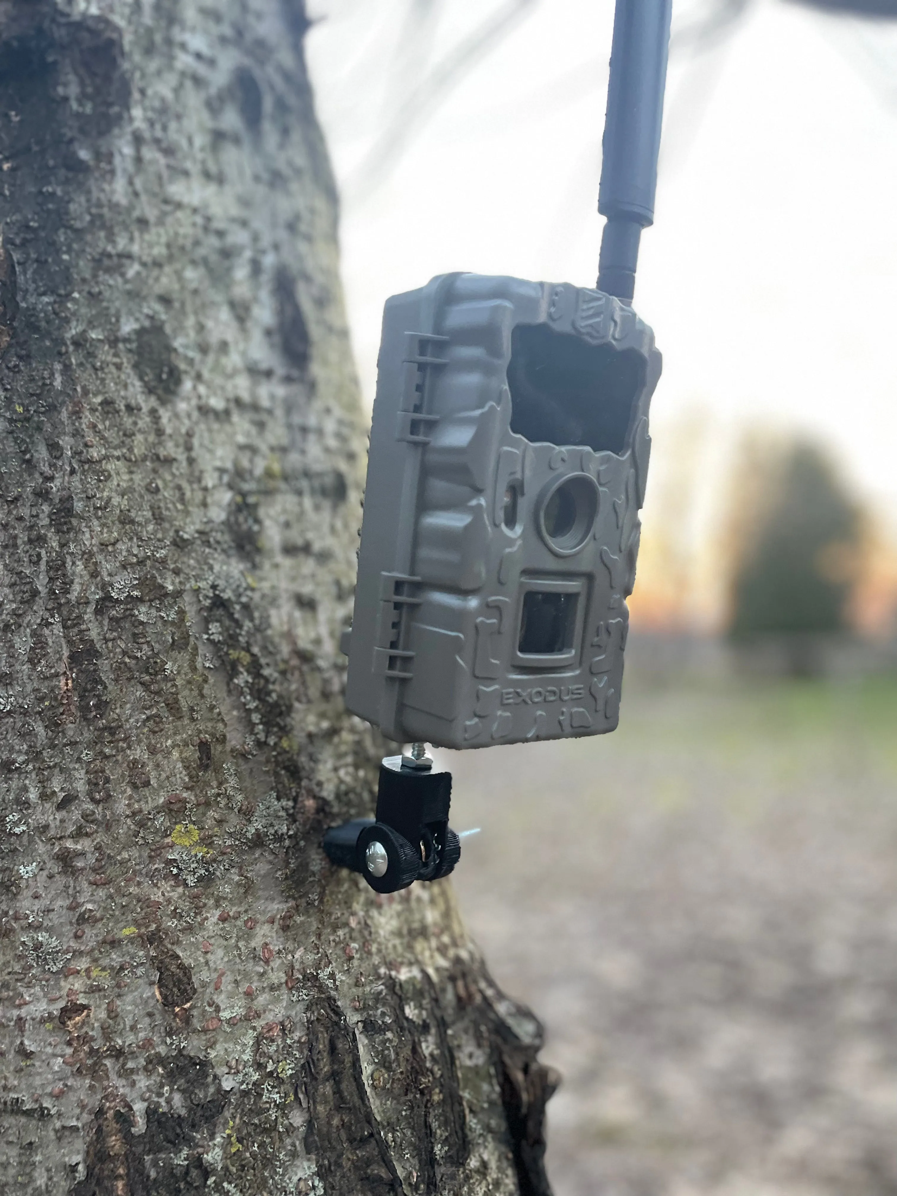 Lookout (Trail Camera Mount)