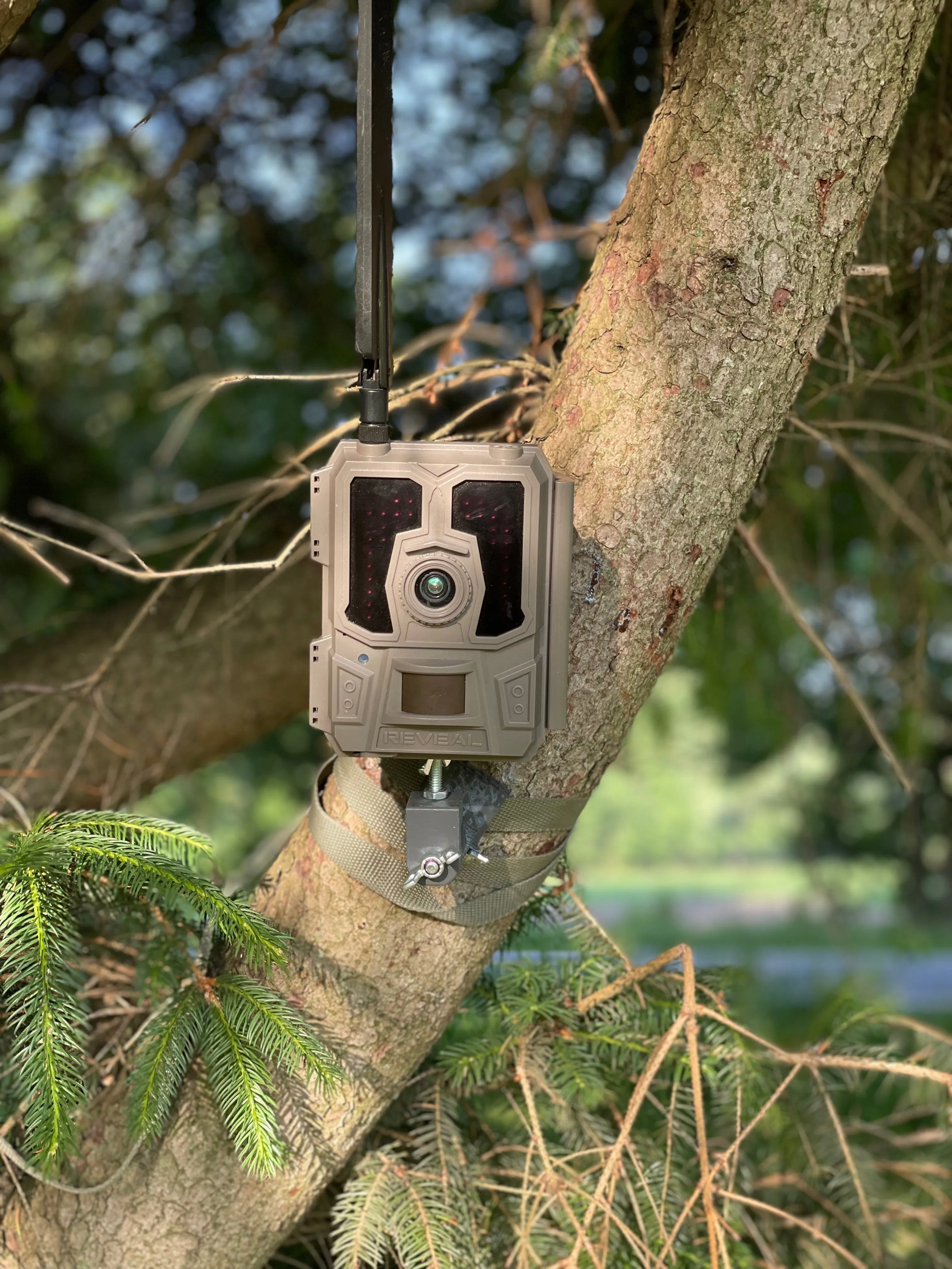 Lookout (Trail Camera Mount)