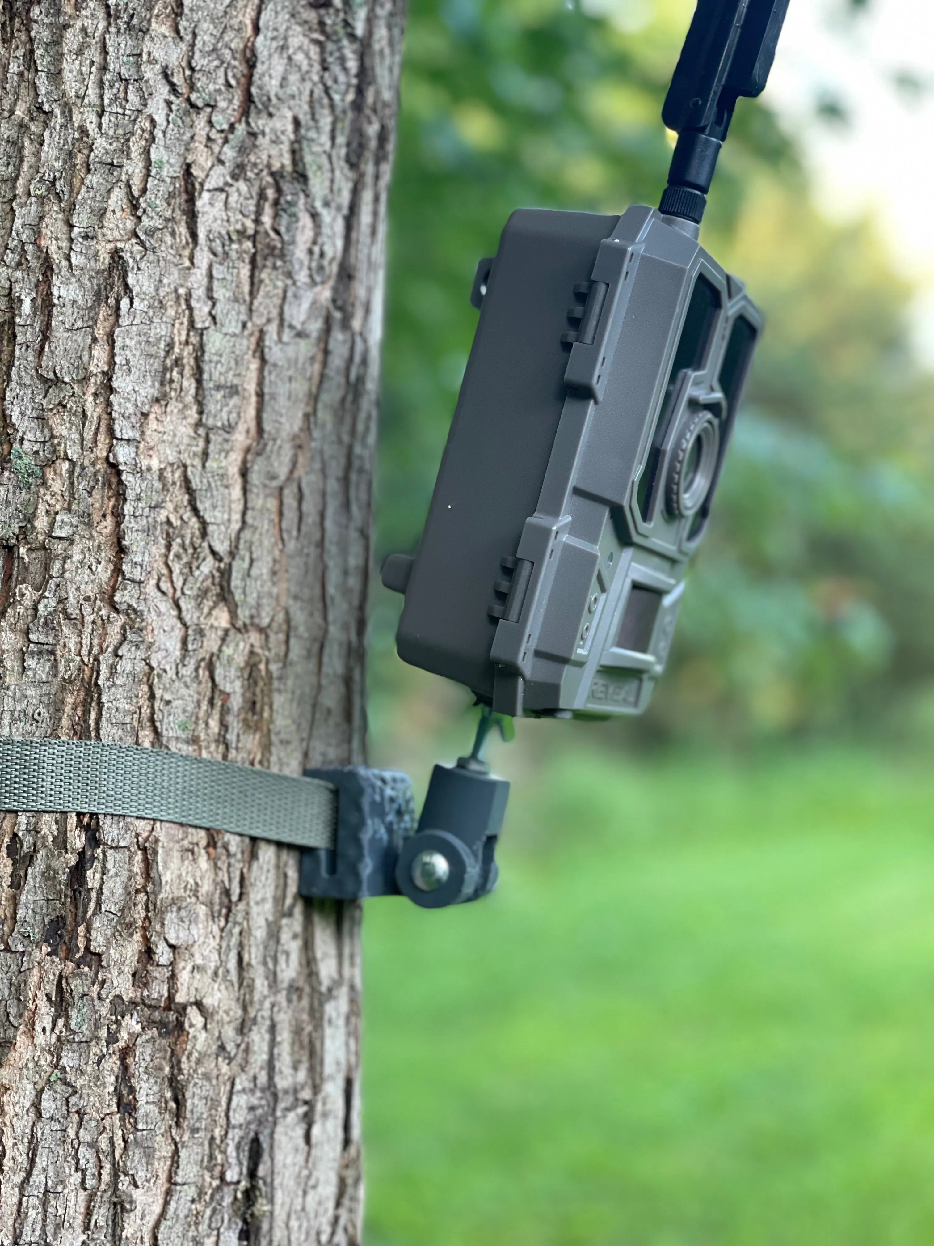 Lookout (Trail Camera Mount)