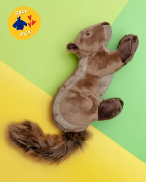 Peanut the Squirrel Squeaky Dog Plush Toy