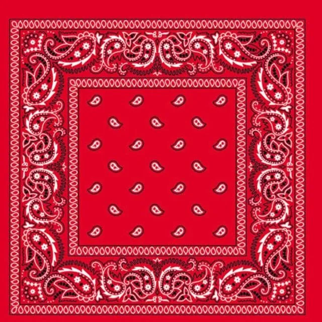 Red Paisley Print Bandana