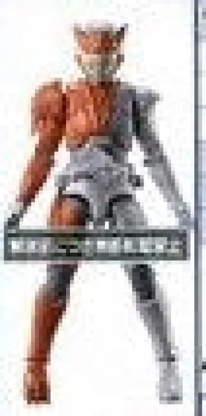 RKF Kamen Rider Valkyrie Rushing Cheetah