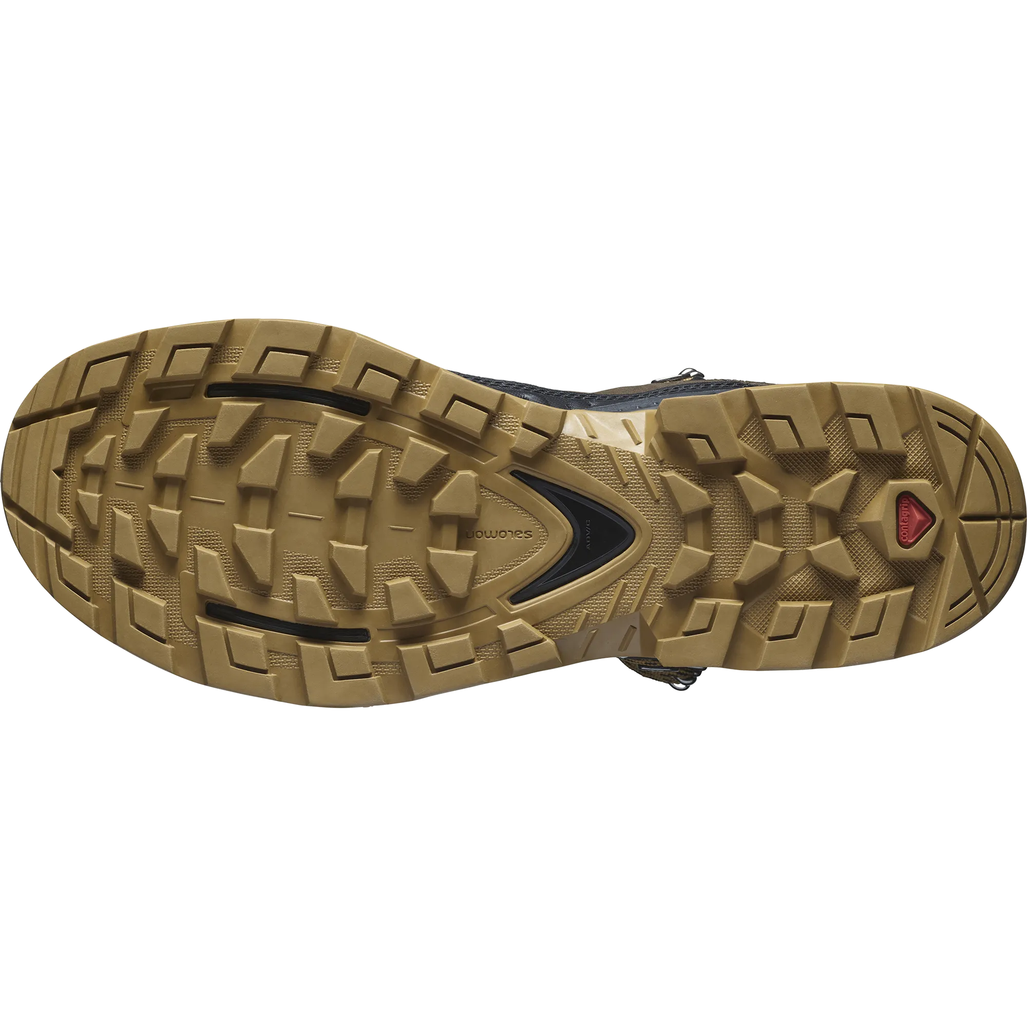 Salomon Men's Quest Element Gore-Tex in Delicioso