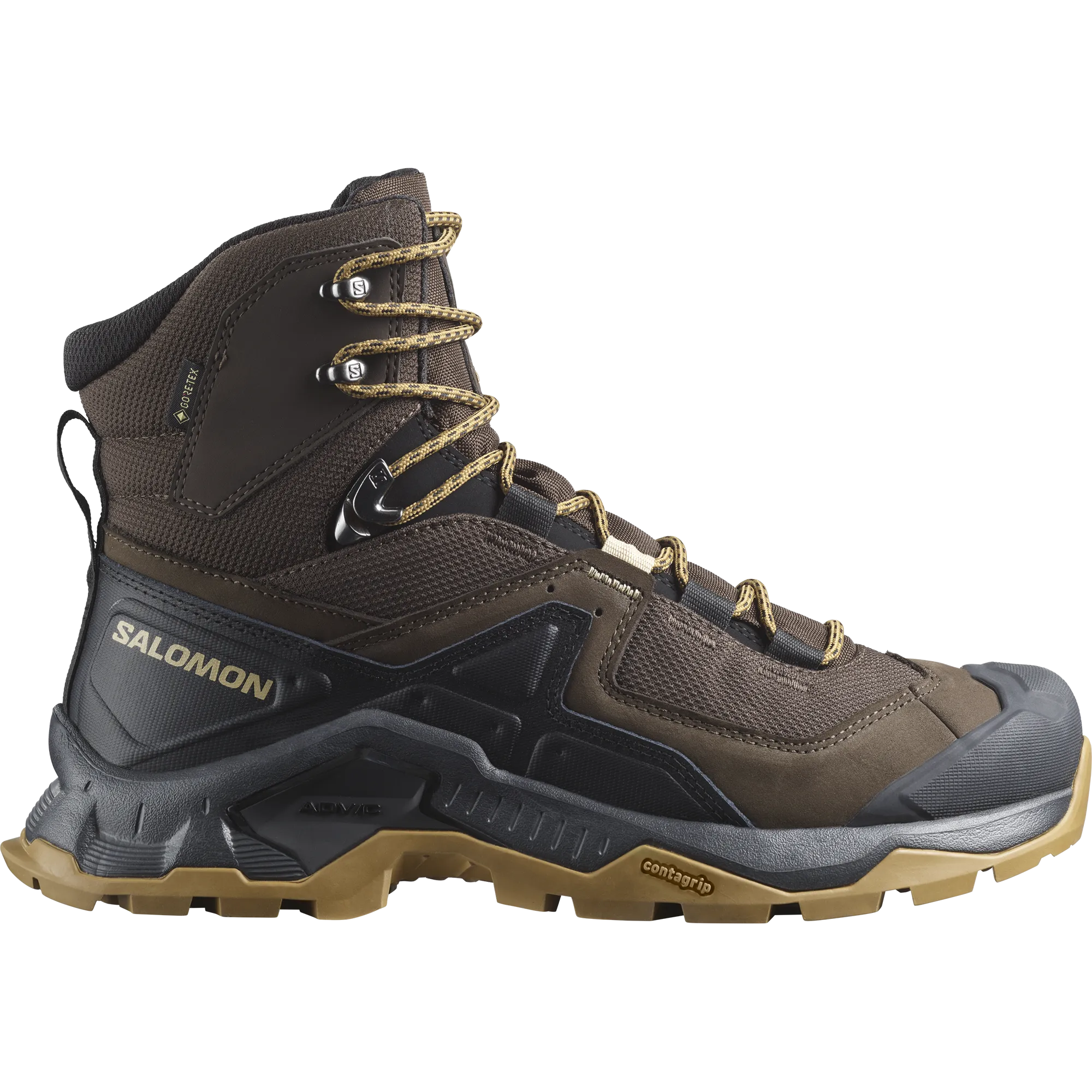 Salomon Men's Quest Element Gore-Tex in Delicioso