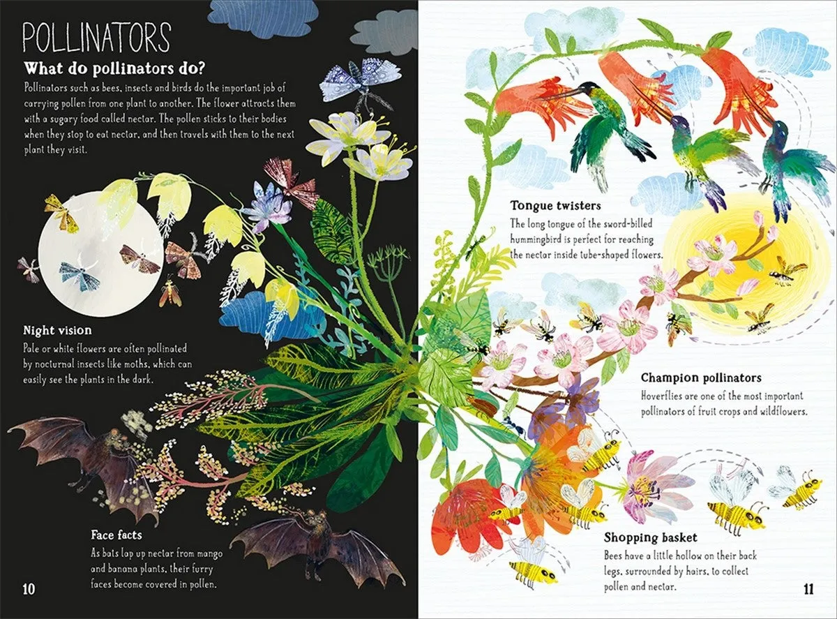 The Big Book of the Blooms
