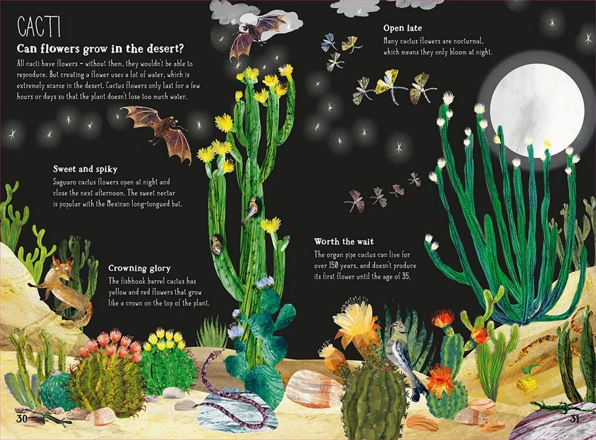 The Big Book of the Blooms