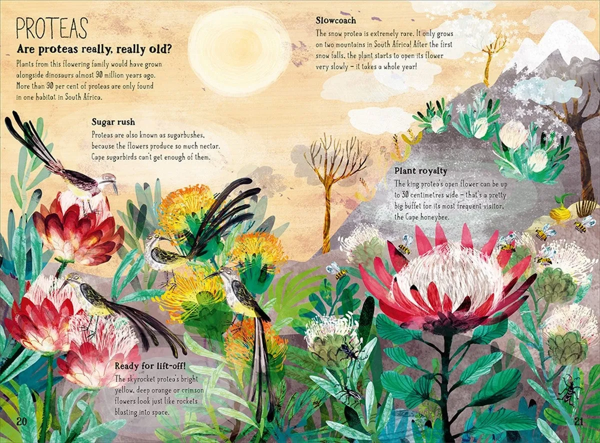 The Big Book of the Blooms