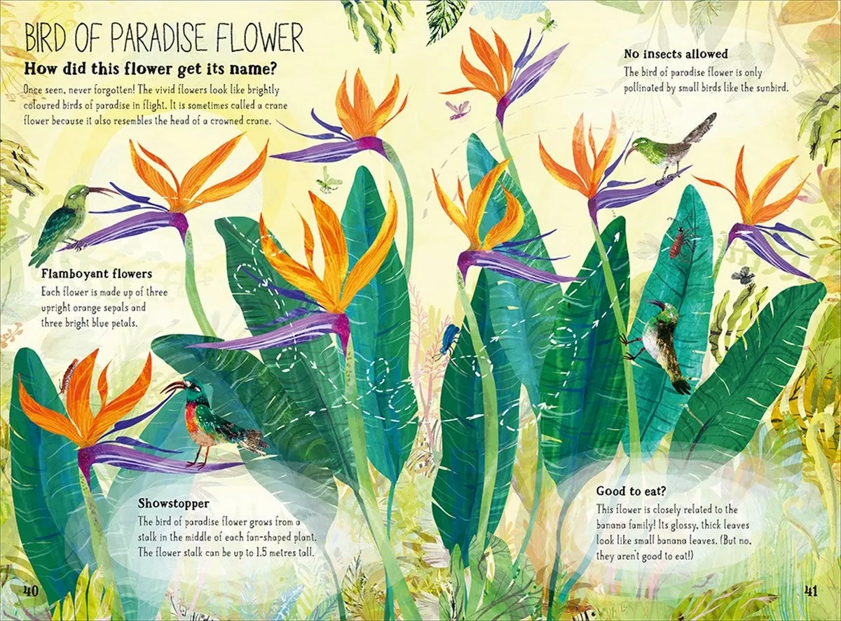 The Big Book of the Blooms