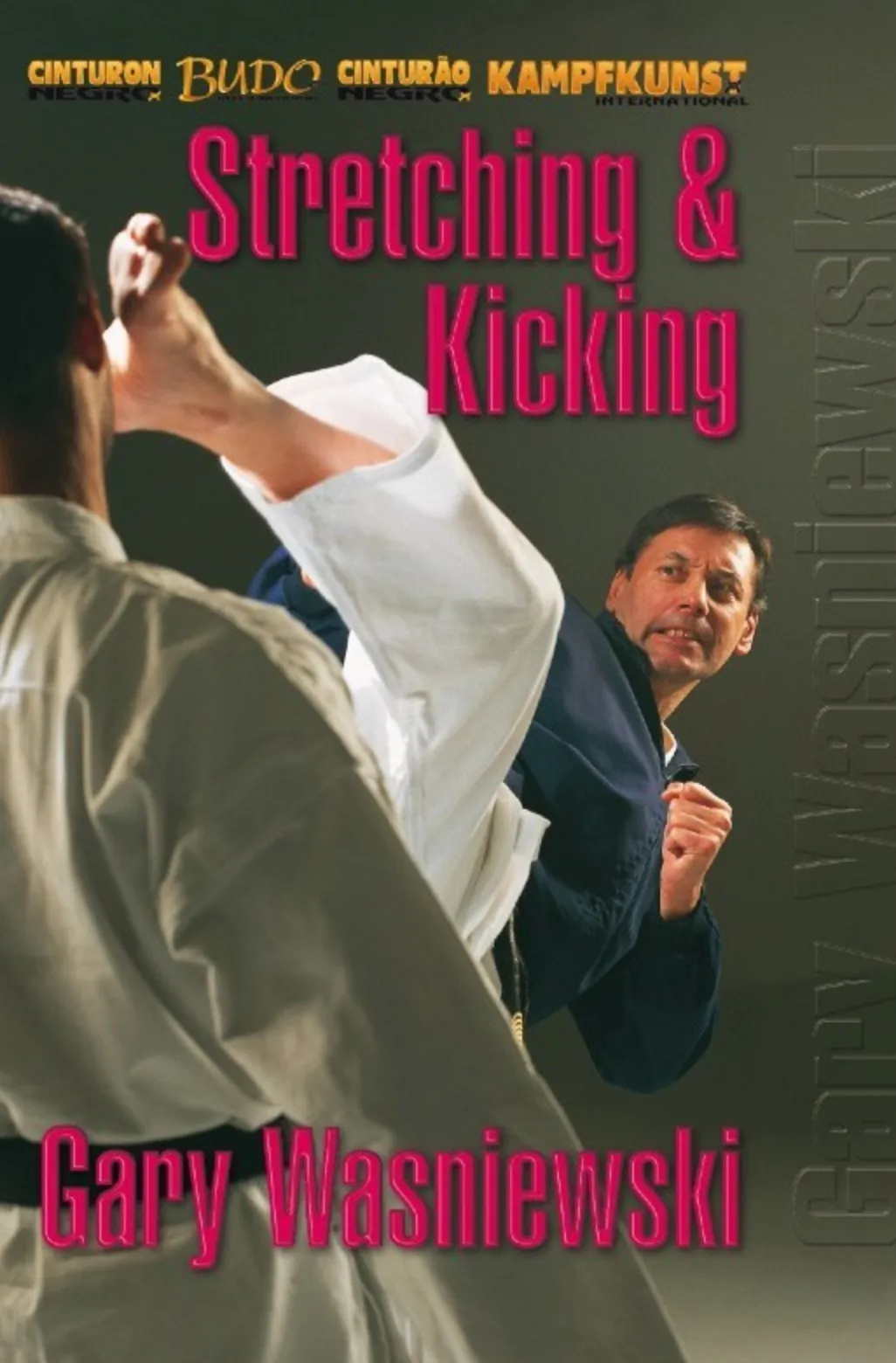 TY-GA Karate Stretching & Kicking DVD with Gary Wasniewski